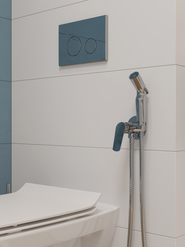 int_flavis64093_64104_63034_ferro64086_1_2