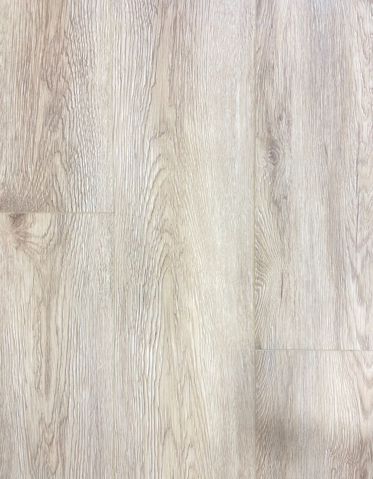 WhatsApp Image 2023-10-26 at 17.48.36