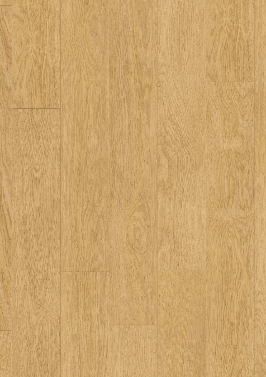 BACL40033