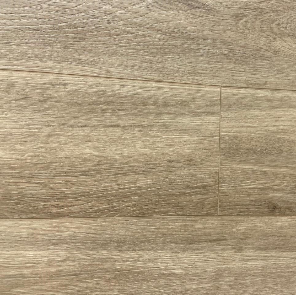 WhatsApp Image 2024-08-25 at 12.02.53