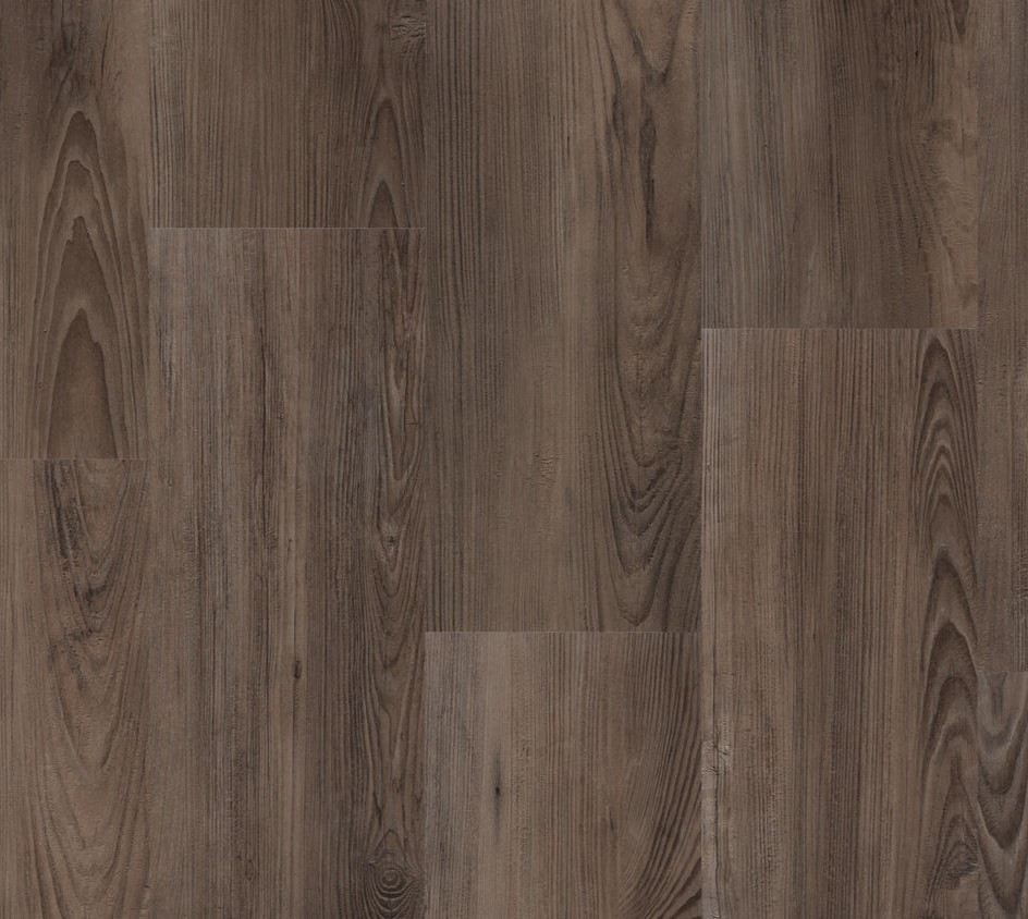 THH_Prime_Forest_Brown