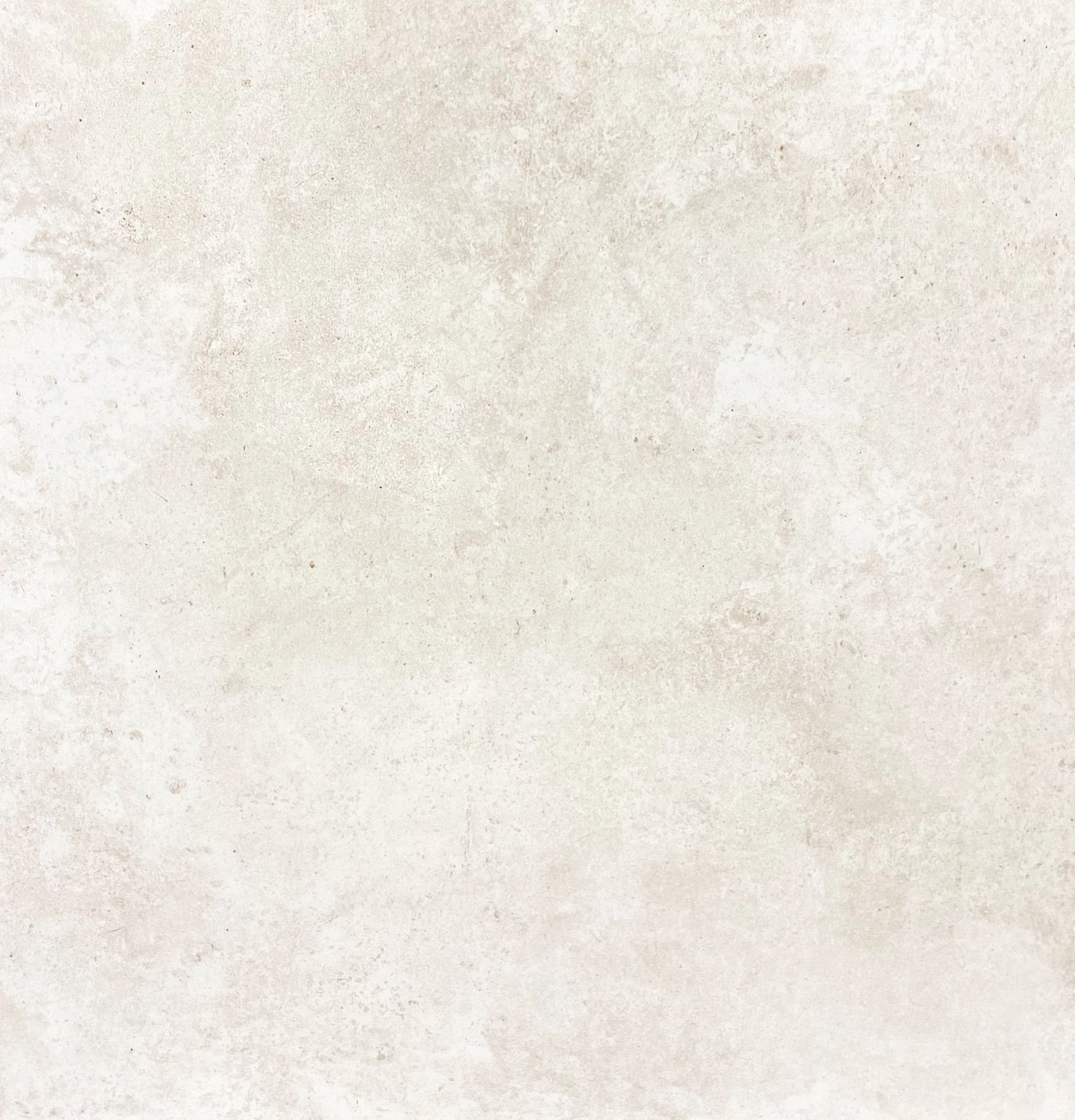 WhatsApp Image 2024-11-10 at 10.20.28