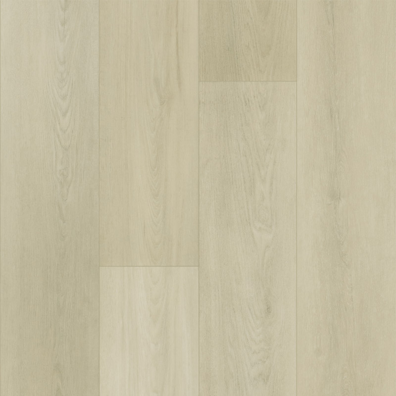 сандерленд