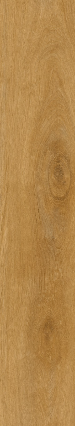 2025-12-15_18-23-29