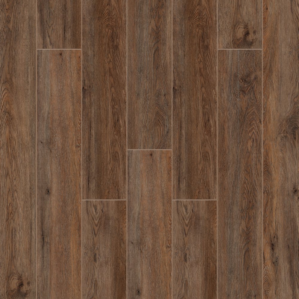 447bbca3069fb6ab0e62ee7f71b2c255