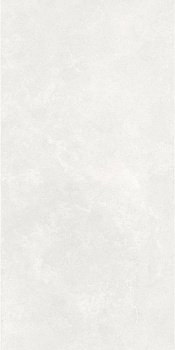 Керамогранит W-Ceramics MON61200 600*1200*9 мм (1,44 кв.м/уп)