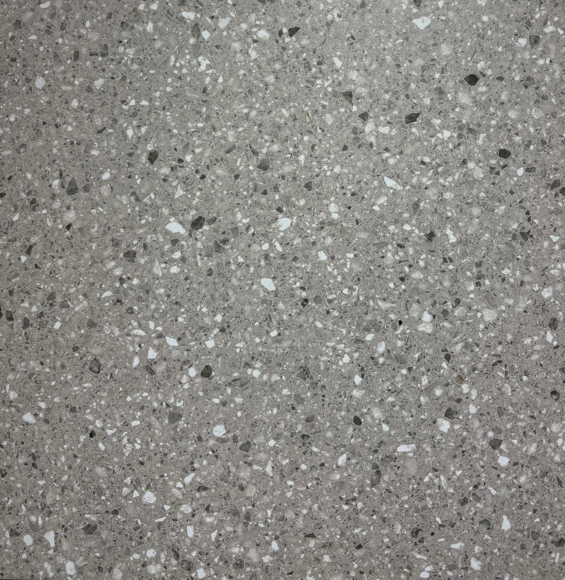 WhatsApp Image 2025-09-15 at 09.57.08