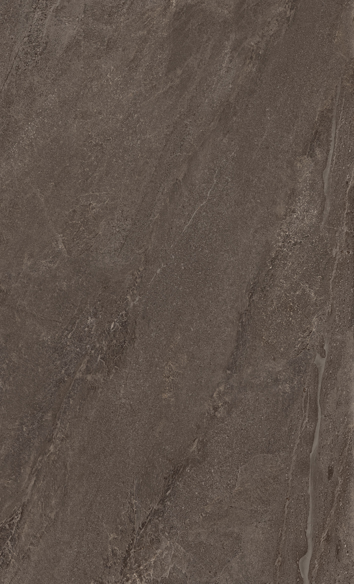 RL-8135-24HD-M_01
