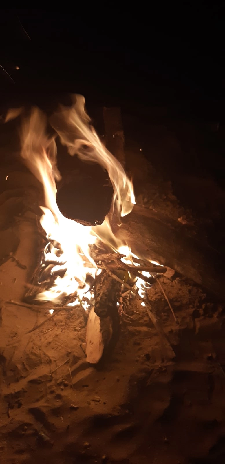 Дорога до деревни's avatar