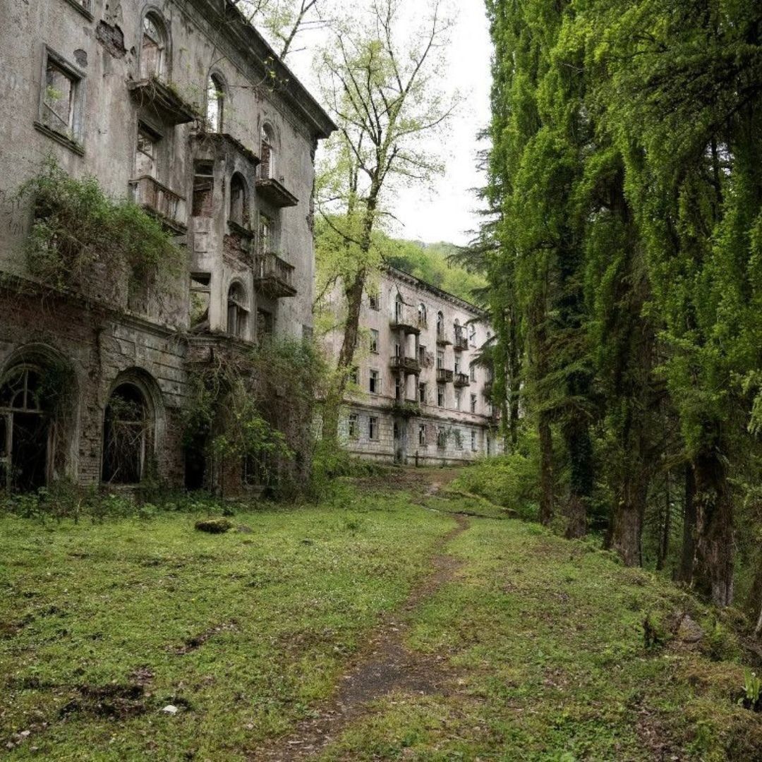 Мёртвый мир's avatar