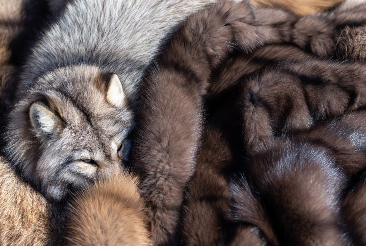 Фотография 1: undefined