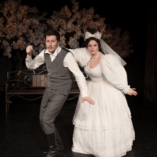 Женитьба Бальзаминова