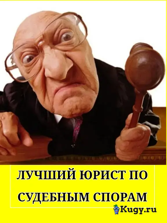 Лучший юрист по судебным спорам