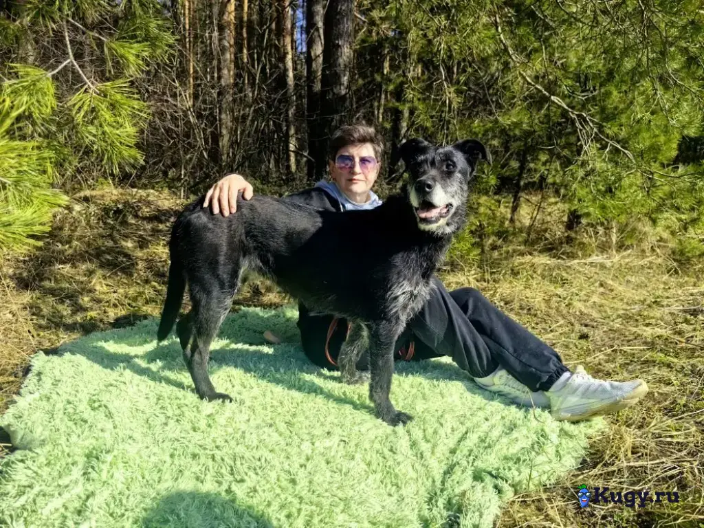 Багги сдали в приют спустя 6 лет