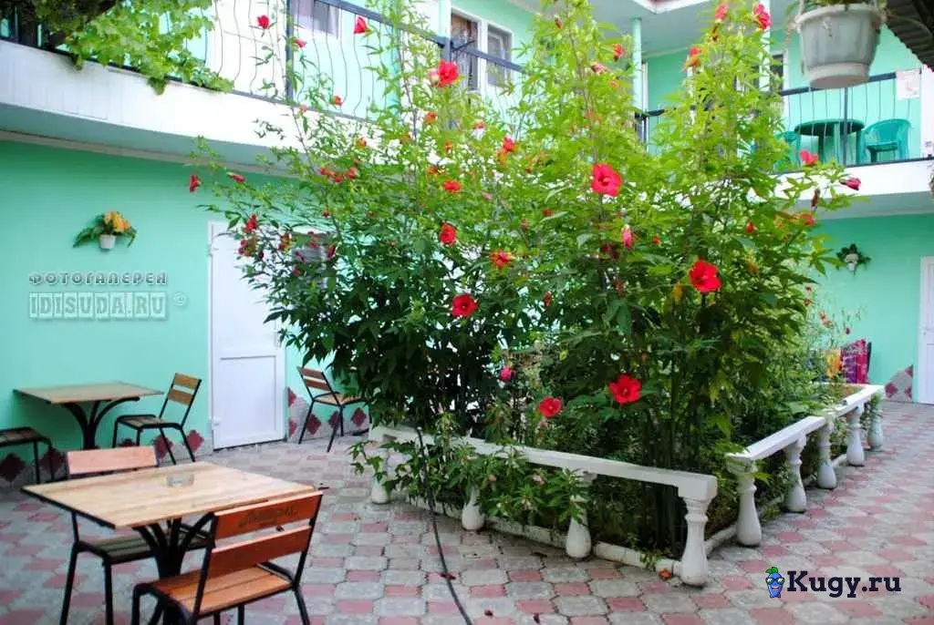 "Уютные номера у Сильвии" на Степной в Феодосии на 2026 год