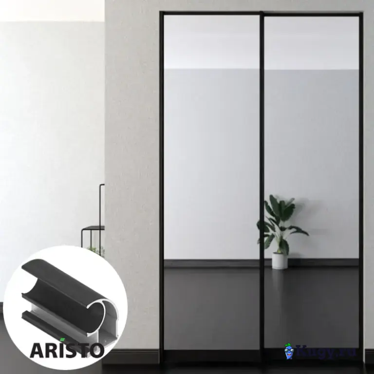 Дверь-купе ARISTO С, зеркало, профиль черный велюр