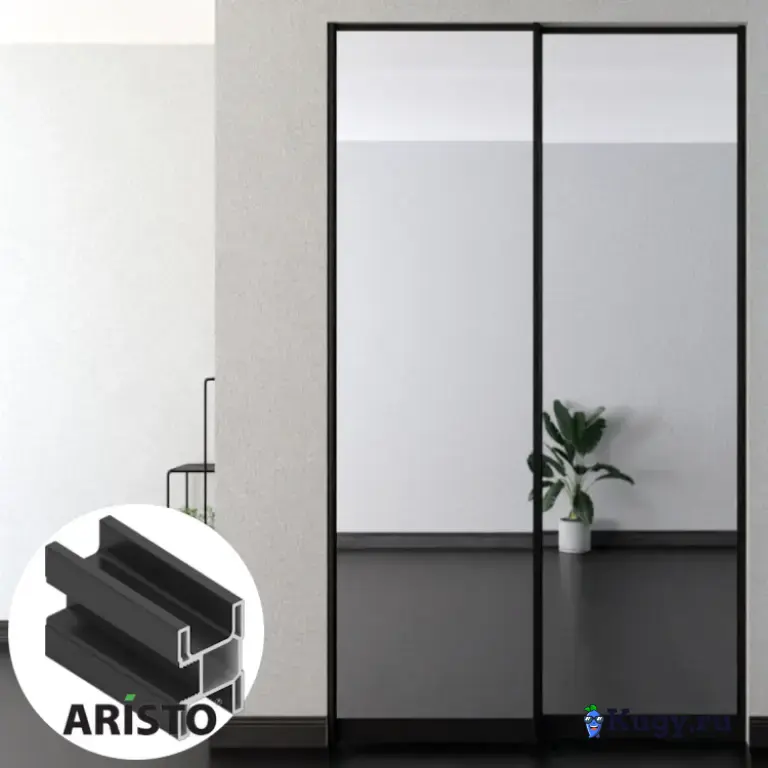 Дверь-купе ARISTO SMART, зеркало, профиль черный матовый