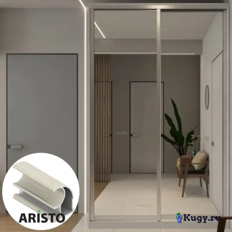 Дверь-купе ARISTO С, зеркало, профиль дуб дымчатый