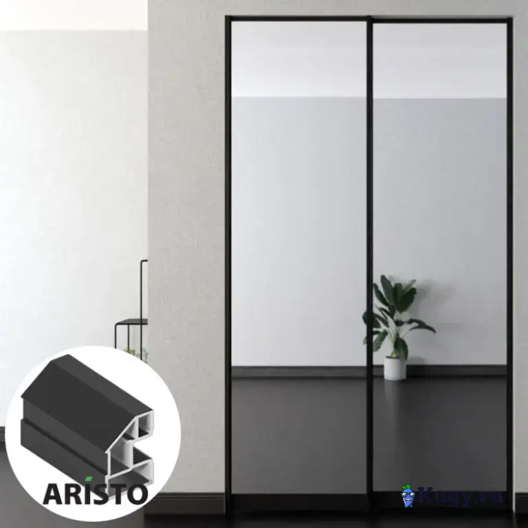 Дверь-купе ARISTO AVERS, зеркало, профиль черный матовый