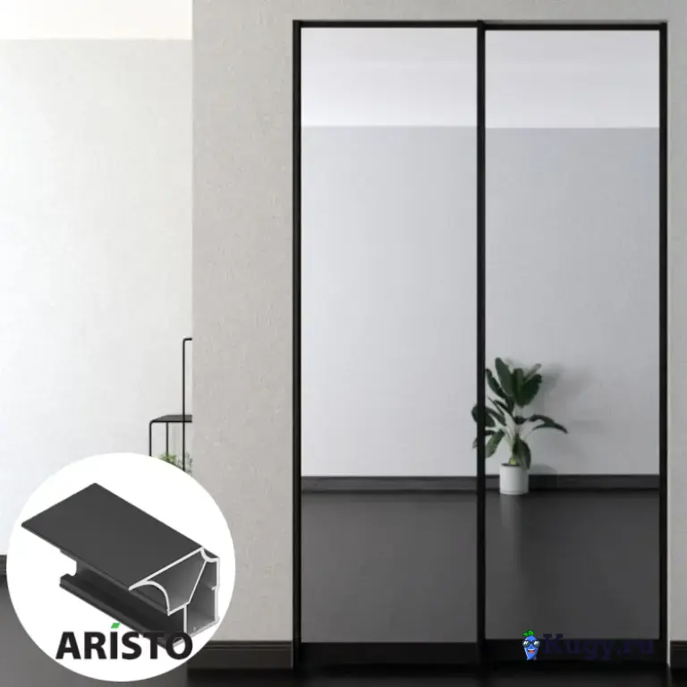 Дверь-купе ARISTO FLAT, зеркало, профиль черный матовый