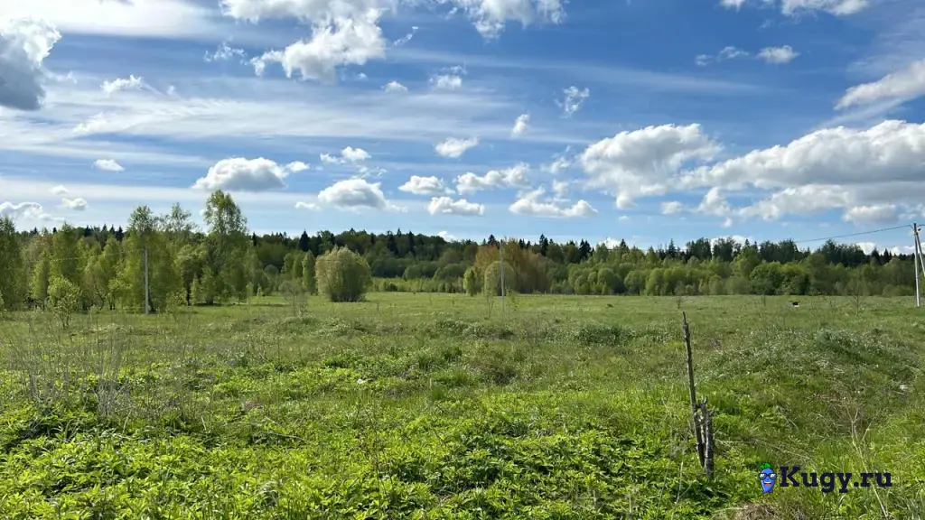 СРОЧНАЯ ПРОДАЖА! Земельный участок 6,2 га | под коттеджный посёлок | инвестиционная земля