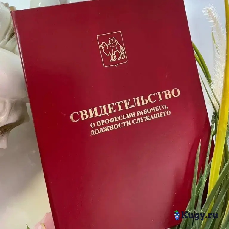 Социальный контракт