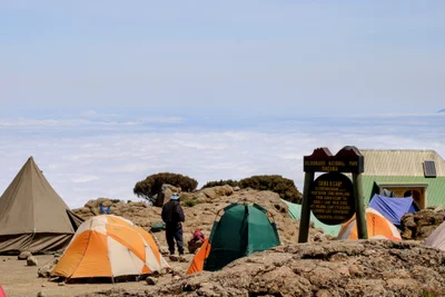 Форест Кэмп — лагерь Шира (Shira Plateau) — Шира Кемп 2 (Shira Camp 2) 3900 м. Переход 15 км.