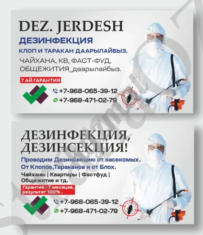 КЛОП,ТАРАКАН ЖАНА БУРГО ДААРЫЛАЙБЫЗ.
