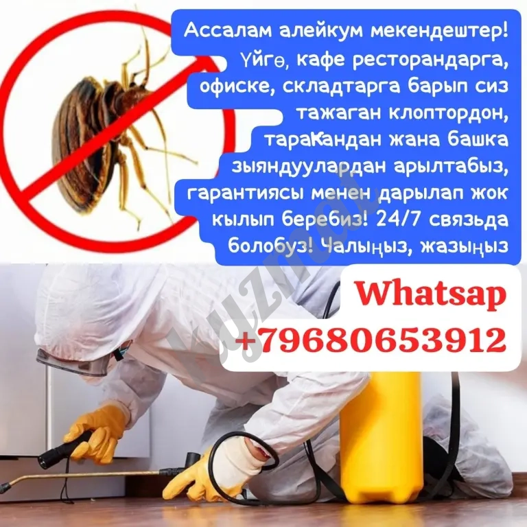 КЛОП,ТАРАКАН ЖАНА БУРГО ДААРЫЛАЙБЫЗ.