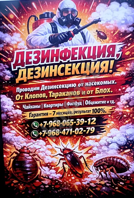 КЛОП,ТАРАКАН ЖАНА БУРГО ДААРЫЛАЙБЫЗ.