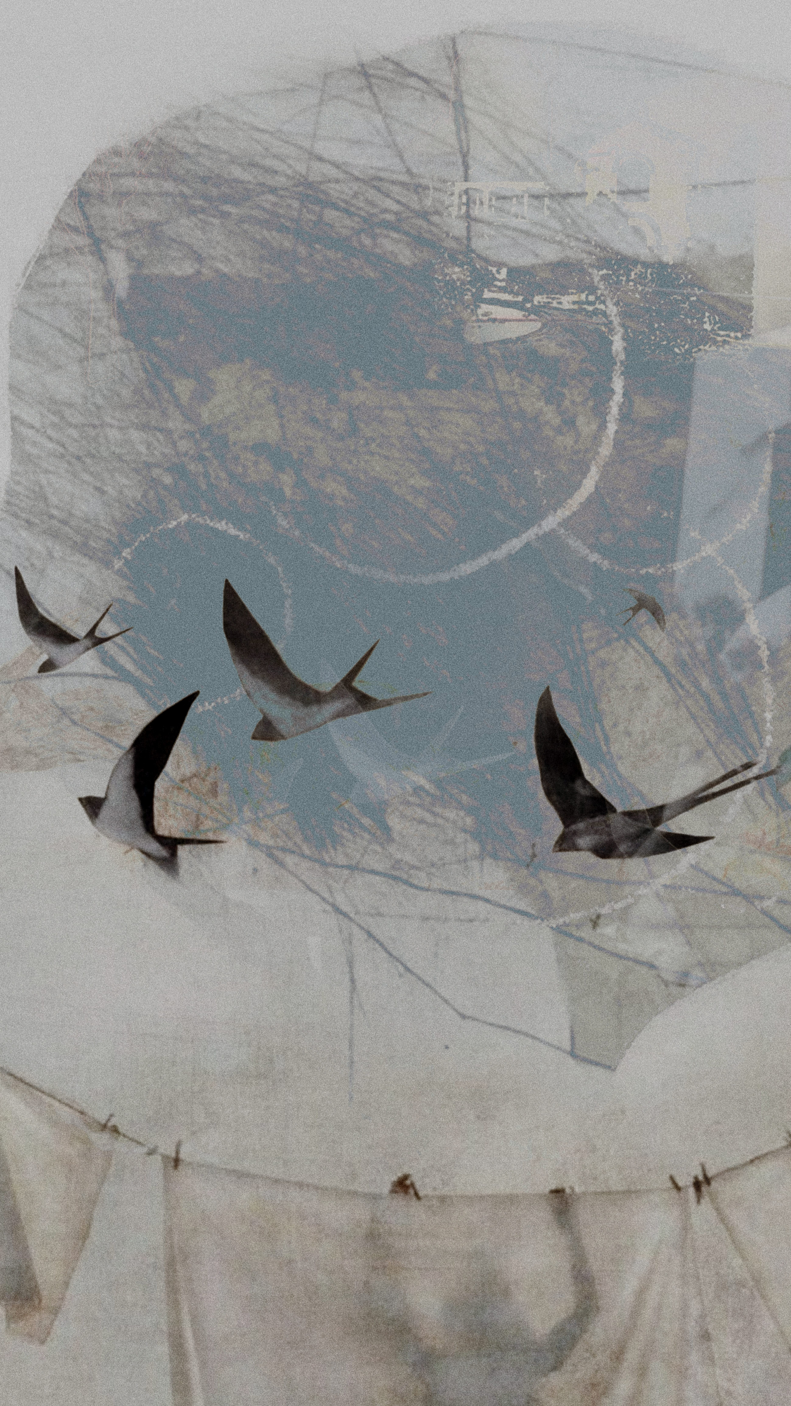 Скромное обаяние встречи с Другим