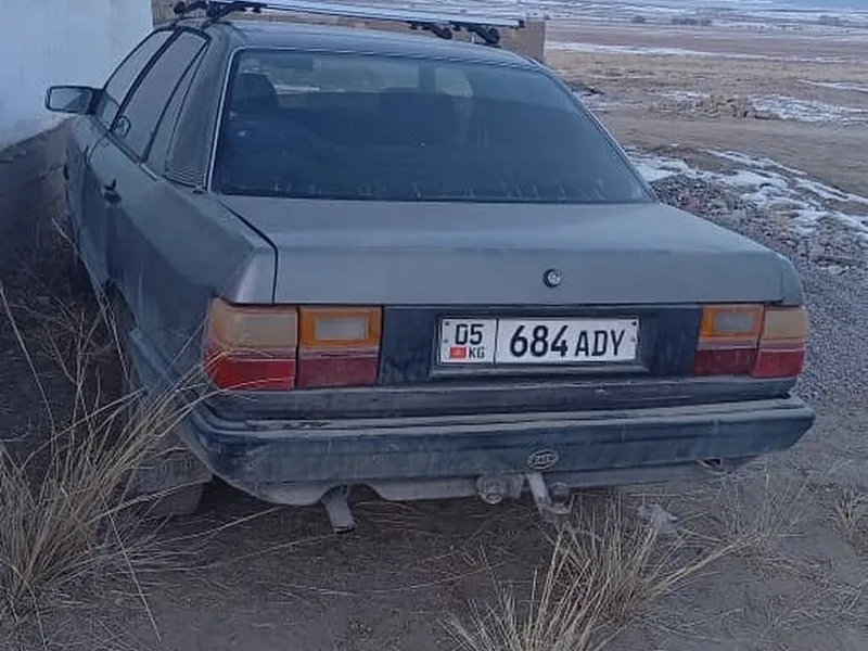 Audi 100
