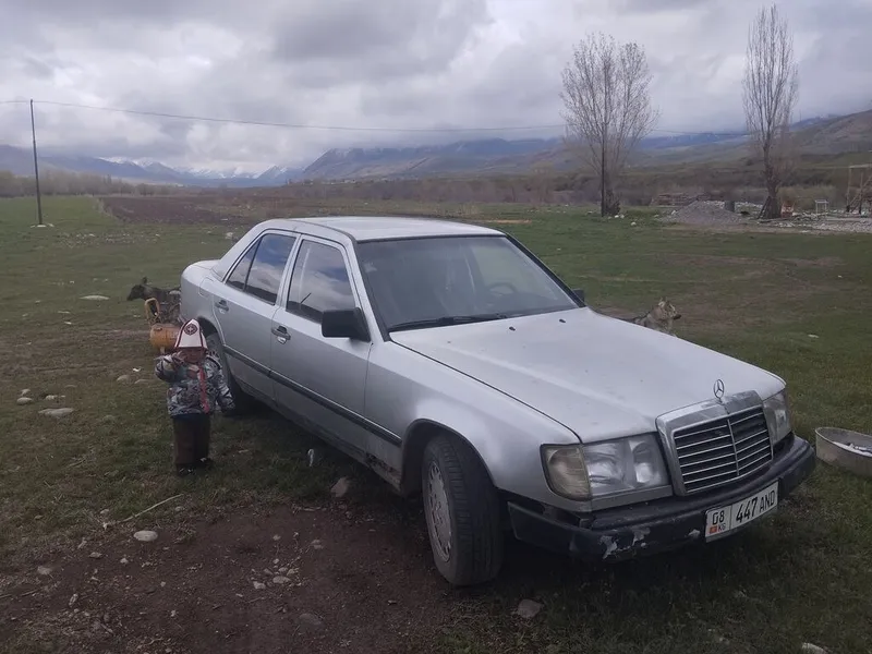 MercedesBenz W124