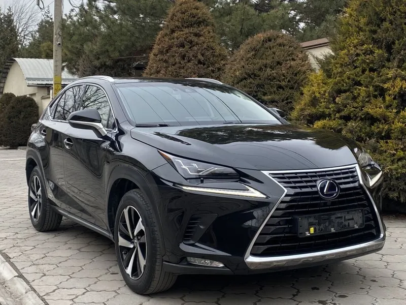 Lexus NX