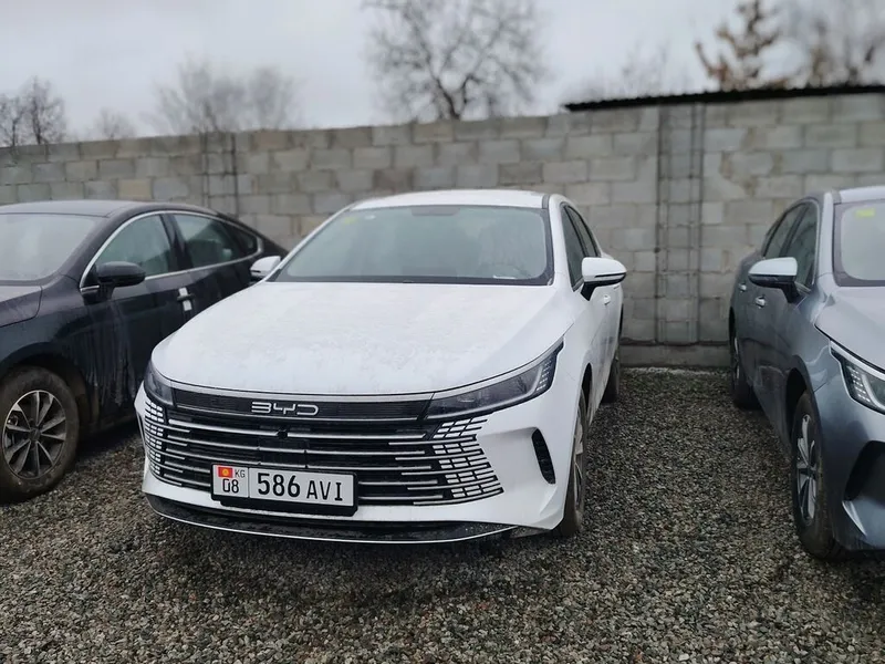 BYD Destroyer 05