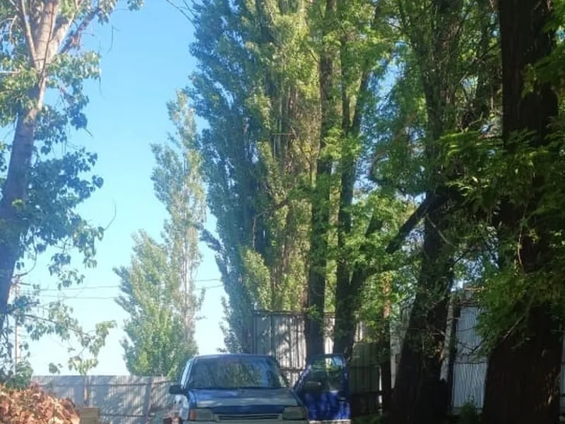 Daewoo Tico