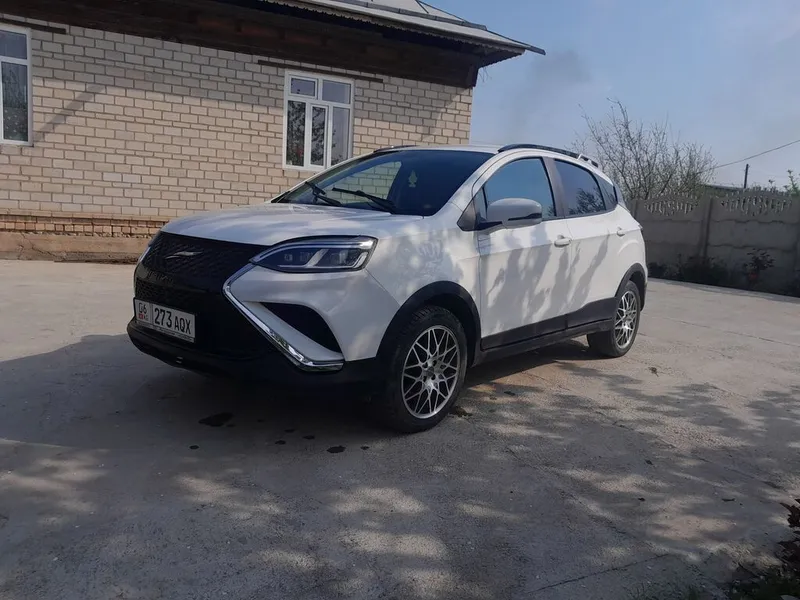 BYD Другая модель