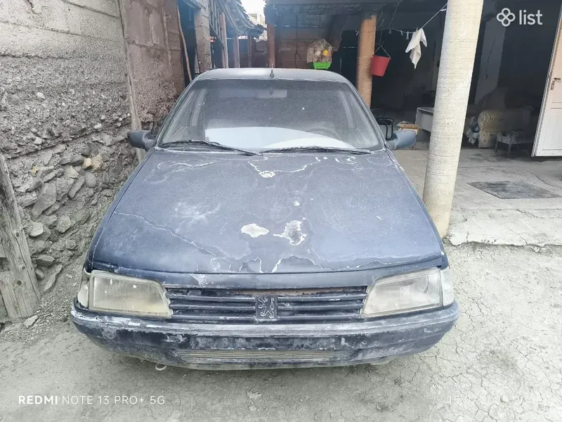 Peugeot 405