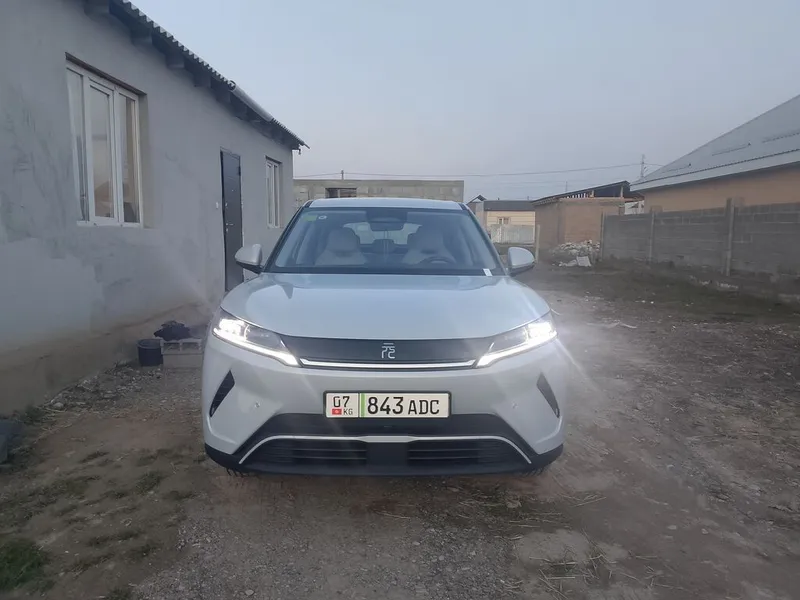 BYD Dolphin