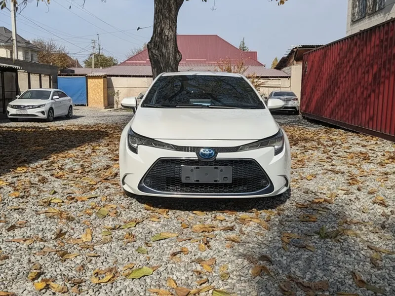 Toyota Другая модель