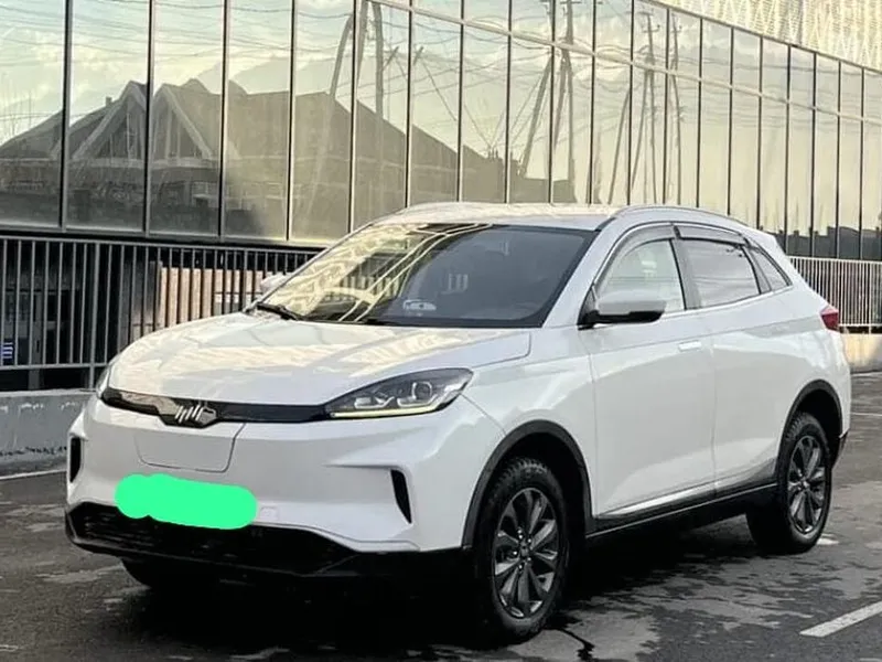 Microcar Другая модель