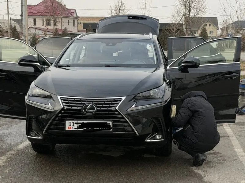 Lexus NX