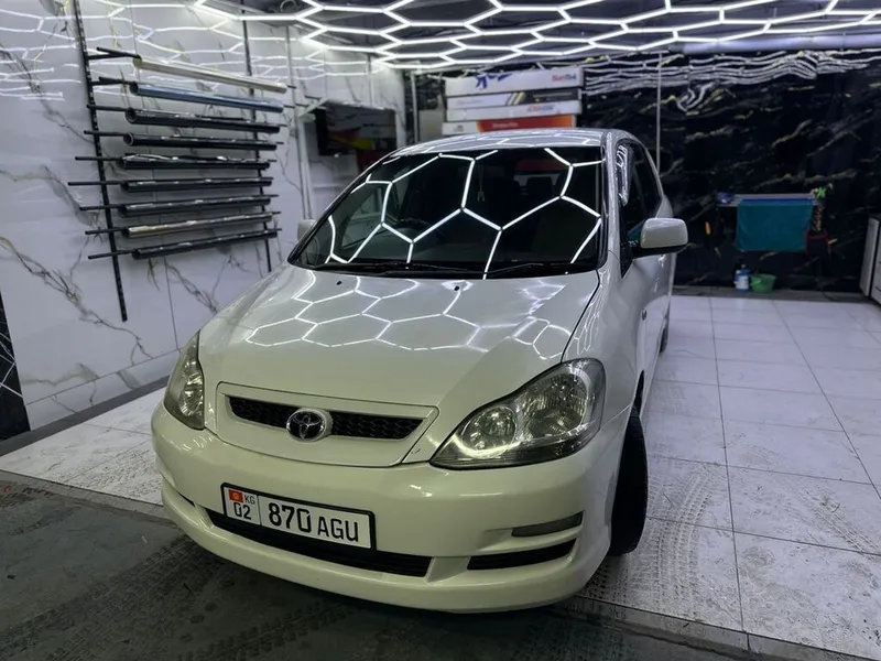 Toyota Ipsum