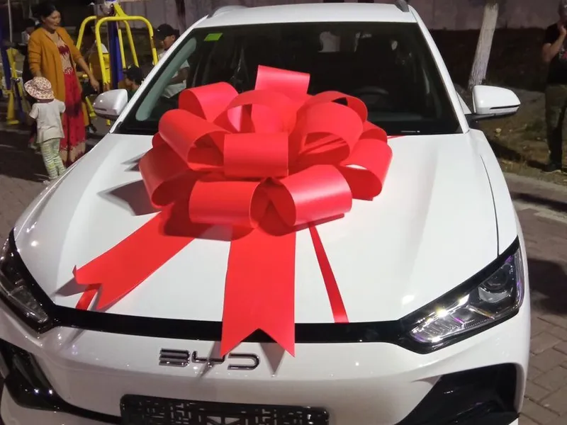 BYD E2