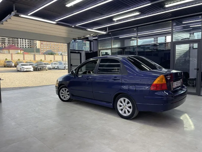 Suzuki Aerio