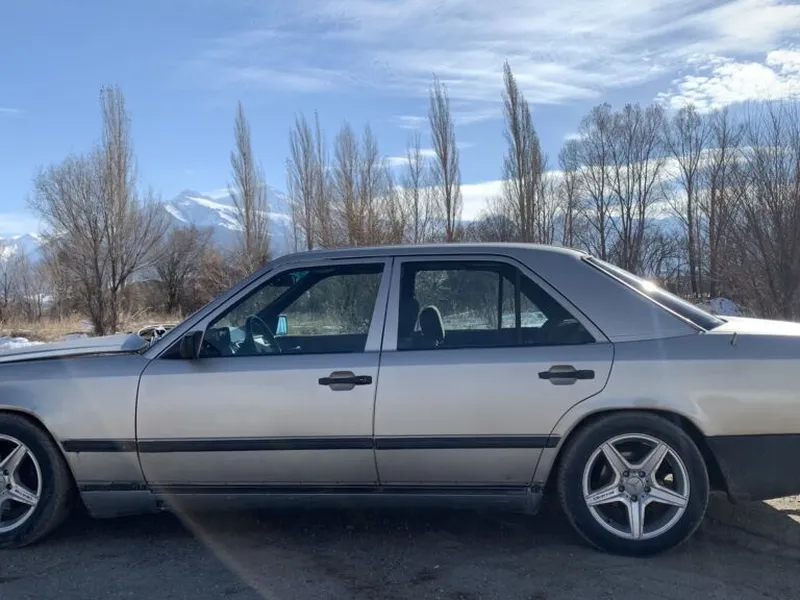 MercedesBenz W124