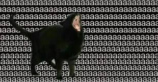 AAAAAAAAAAAAAAAAAAAAAAAAA