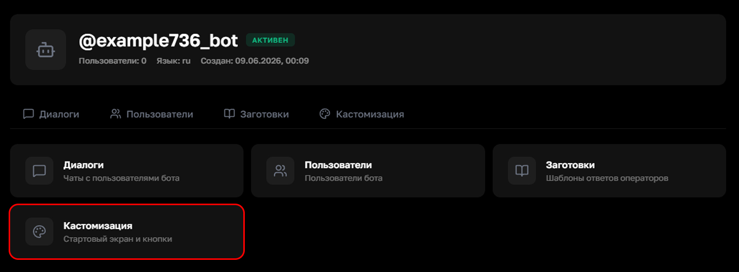 Кастомизация