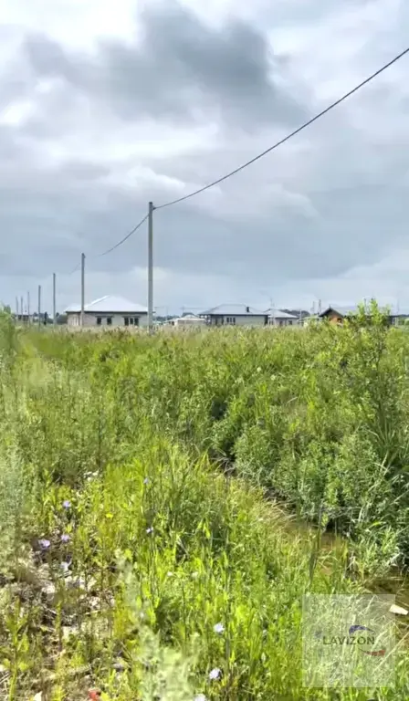 Земельные участки в хуторе Садовый: 2 участка по 8 соток