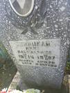 Захоронение ID 35537